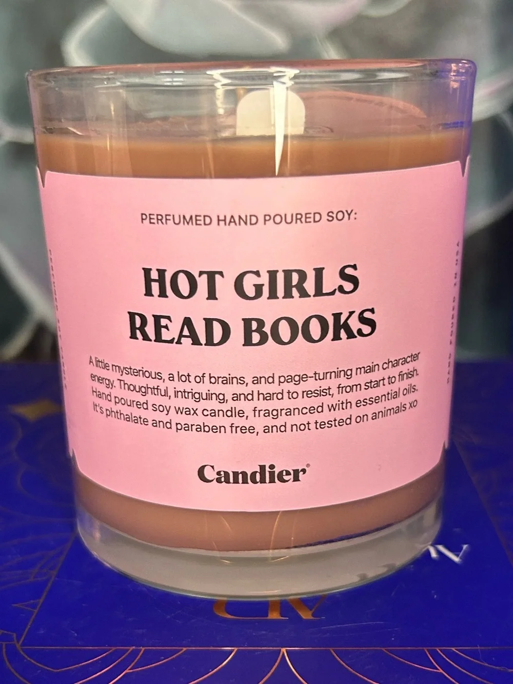 Candier by Ryan Porter “Hot Girls Read Books” Scented Candle